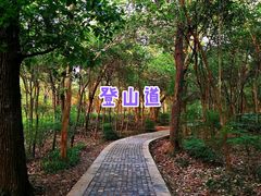 -紫金山山顶公园