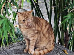 -浙江大学(之江校区)