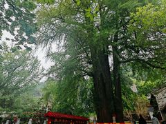-潭柘寺景区