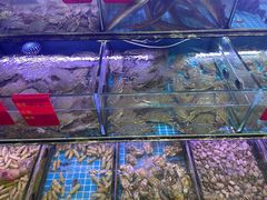 -金海湾海鲜排档(朱家尖店)