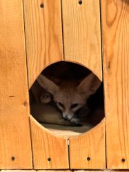 -Zoolung Zoolung动物主题公园(海信广场店)