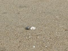 -西涌国际滨海旅游区