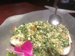 云笋烩鲈鱼-花马天堂云南餐厅 Lost Heaven(高邮路店)