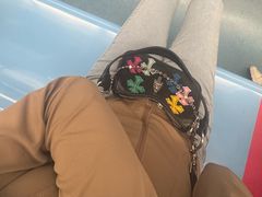 -东方体育中心(地铁站)