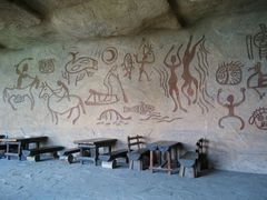 android_upload_pic-沈阳植物园