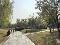 -汉梁文化公园