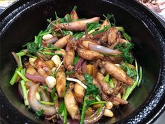 -石岐乳鸽村(南海第三分店)