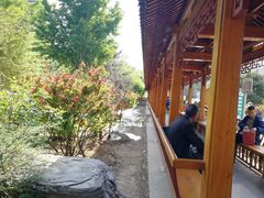 -中国中医科学院望京医院(院本部)