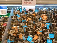 -盒马鲜生(皇庭广场店)