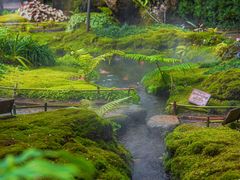 -Chom Cafe and Restaurant