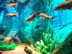 -沈阳海洋探索中心