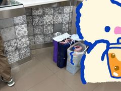 -珍妮曲奇聪明小熊(上环店)