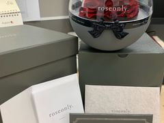-ROSEONLY诺誓(国际广场购物中心店)