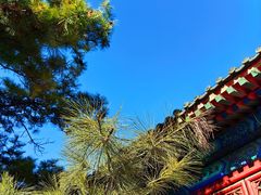 -大钟寺古钟博物馆