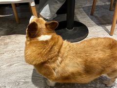 -小时光咖啡馆(北锣鼓巷店)