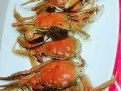 -自助火锅筷乐食代自助餐厅(金辰店)