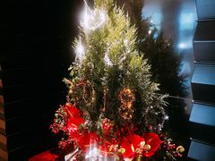 -上海锦江汤臣洲际大酒店壹阶层