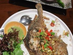 -泰堤坊(淡水体育馆店)