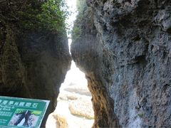 iphone_upload_pic-鹅銮鼻公园