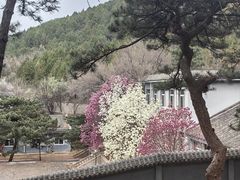 -红螺寺