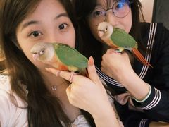 -吾叁·吉趣鸟咖(万科店)