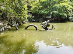 -汇龙潭