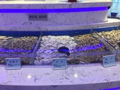 水产区-澜悦港海鲜体验主题餐厅