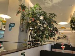 -Aqua Oasis 水天堂(太湖中心mall店)
