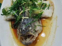 清蒸泉水鲩鱼-成惠食府(赤岗店)