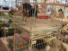 -新奥购物中心