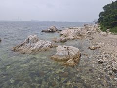 -养马岛旅游度假区