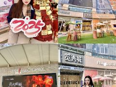 -金茂览秀城
