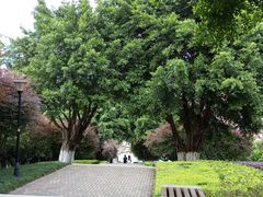 -龙头寺公园