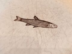-THE CANNERY&JUJU 新鲜海鲜·牛排美食酒廊