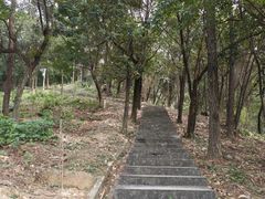 -火炉山森林公园