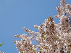 -红星桥(地铁站)