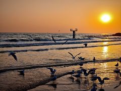 -老虎石海上公园