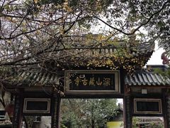 -凤栖山