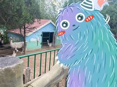 -五龙山野生动物王国