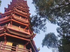 -南沙天后宫景区
