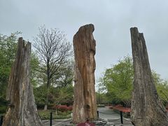 -金钉子远古世界景区