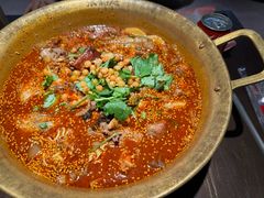 -张翻越·川渝冒菜·武汉黑鸭煲(城北万象城店)