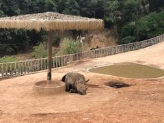 -泉州海丝野生动物世界