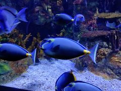 -乌鲁木齐海洋馆