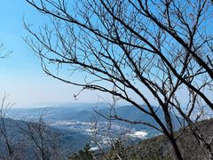 -惠山国家森林公园