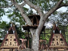 -海南槟榔谷黎苗文化旅游区