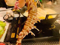 -鲜入围煮花胶鸡海鲜火锅