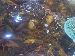 -聚盛源蒸汽海鲜火锅烤肉自助(巨川金海岸购物广场店)