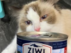 -DQ·蛋糕·冰淇淋(民勇嘉泰店)