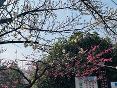 -天鹅湖体育公园